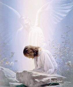 Anjo Consolador.jpg (9999 bytes)