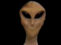 Etanim.gif (22011 bytes)